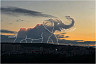 Саратовцы оценили розовый закат и заметили слона в небе